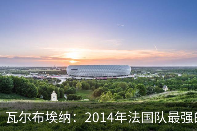 瓦尔布埃纳：2014年法国队最强的是博格巴，最被低估的是马图伊迪